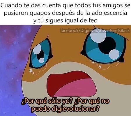 Meme_otros - ¿Cuando llegará mi digievolución?