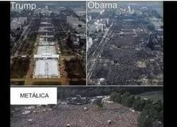 Enlace a Mi moqueta es mejor que todos ellos