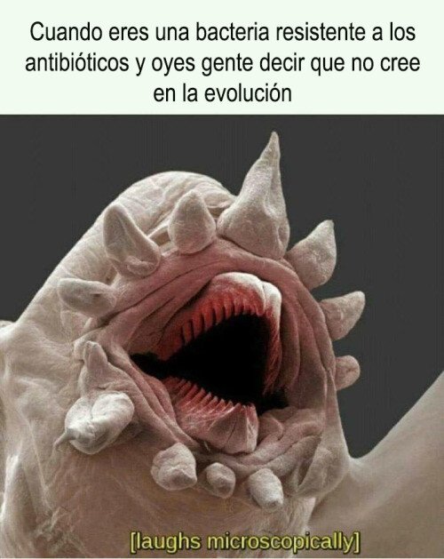 Meme_otros - Las bacterias traman algo