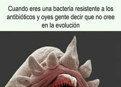 Enlace a Las bacterias traman algo