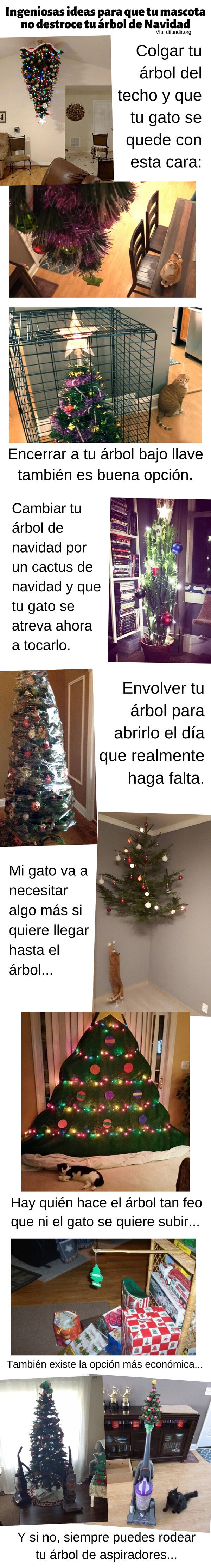 Meme_otros - Ingeniosas ideas para que tu mascota no destroce tu árbol de navidad