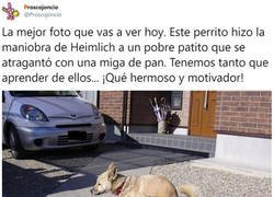 Enlace a ¡Qué bella es la madre naturaleza!