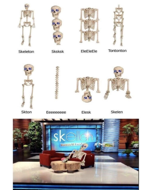Otros - Así está formado un esqueleto