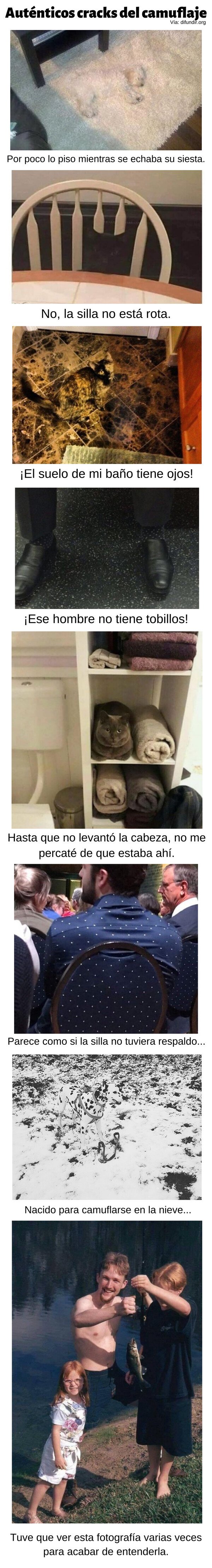 Meme_otros - Auténticos cracks del camuflaje