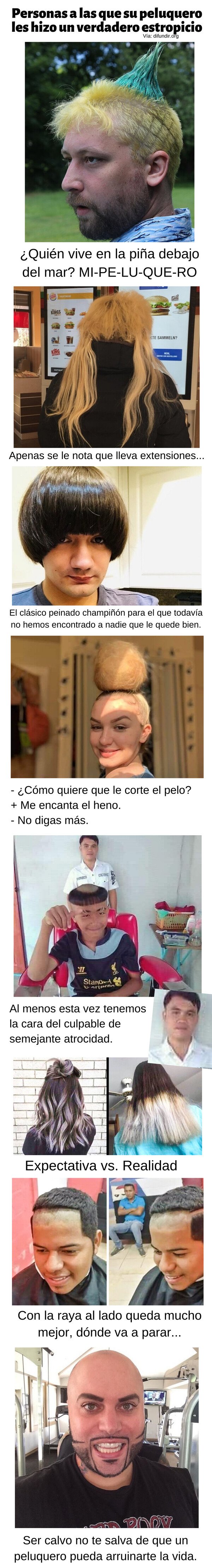 Meme_otros - Personas a las que su peluquero hizo un verdadero estropicio