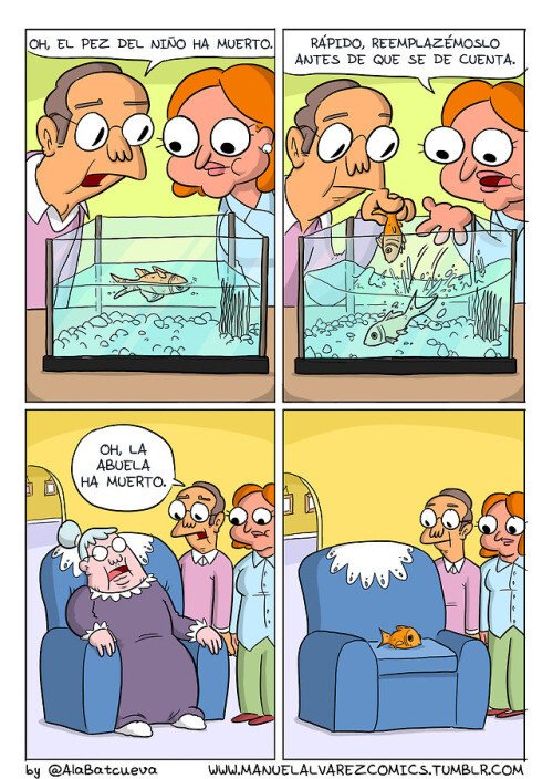 Meme_otros - No todo es sustituible por otro pez