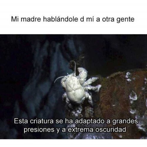 Otros - Para ella soy como un mal bicho