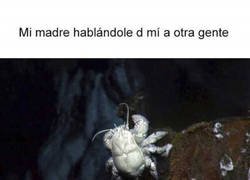 Enlace a Para ella soy como un mal bicho