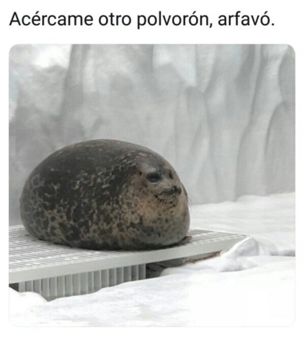 Otros - Este tipo de momentos se acercan