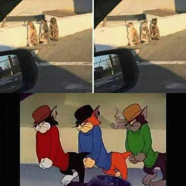 Meme_otros - ¡Son ellos!