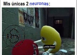 Enlace a Se ayudan entre sí para seguir sobreviviendo