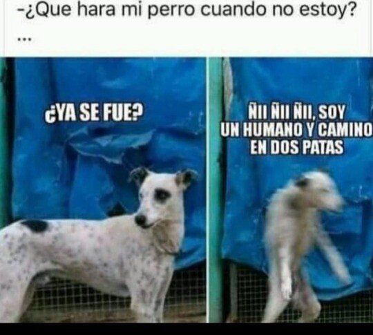 Meme_otros - Se burlan de nosotros en la intimidad