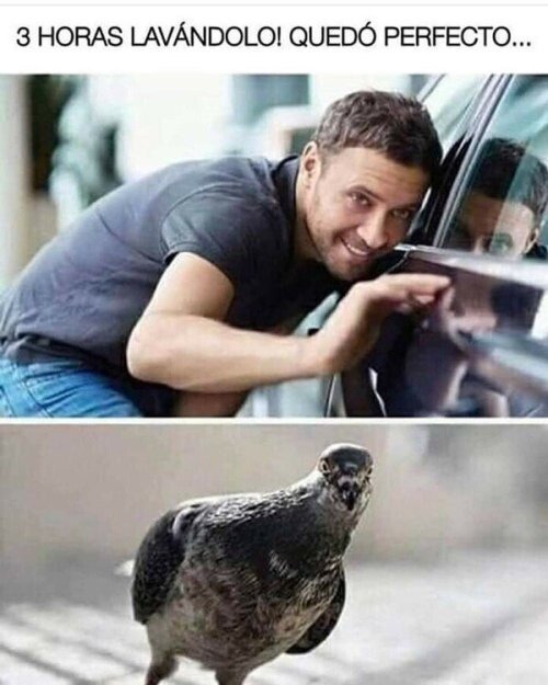 Meme_otros - A 34 palomas les gusta esto.