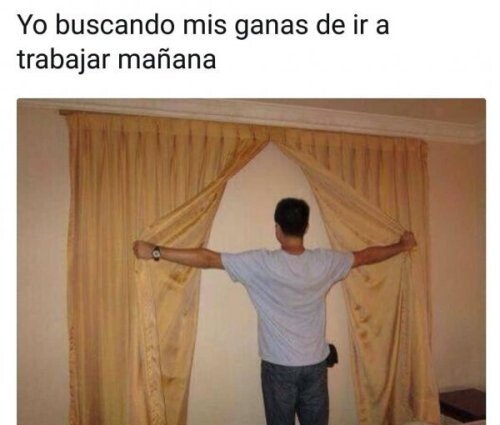 Meme_otros - Me gusta contemplarlas tras las cortinas