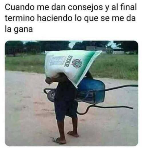 Meme_otros - Si quiero cargar con la carretilla, la cargo y punto.