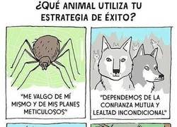 Enlace a ¿Qué animal utiliza tu estrategia de éxito?