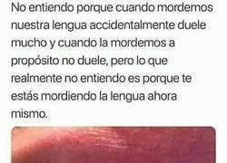 Enlace a El misterio de la lengua