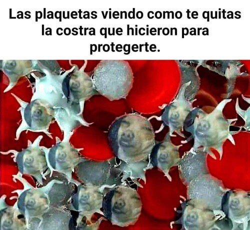 Otros - ¿Para eso hacemos nuestro trabajo?