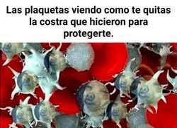 Enlace a ¿Para eso hacemos nuestro trabajo?