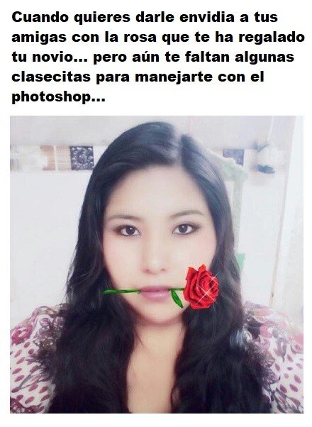Meme_otros - Esa rosa que te ha regalado tu novio no parece muy creíble...