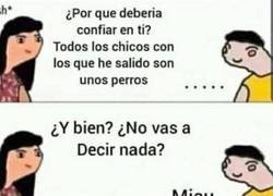Enlace a Si está cansada de perros, habrá que darle gatos