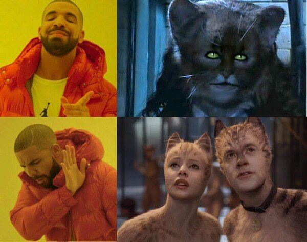 cats,hermione,multijugos,harry potter