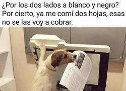 Enlace a El perro impresor