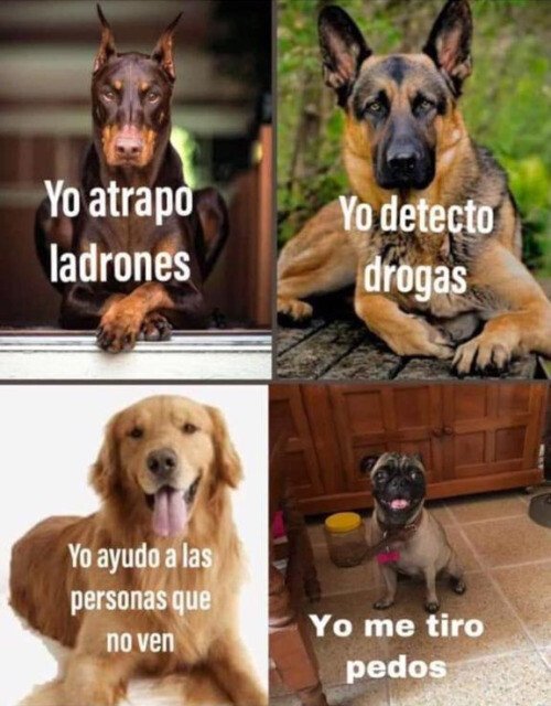 Meme_otros - Pero es mucho más mono que el resto...