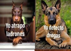 Enlace a Pero es mucho más mono que el resto...