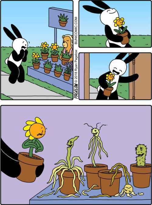 Meme_otros - No sé que tiene de bonito comprar flores