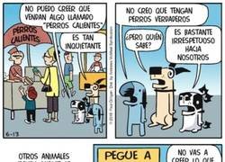 Enlace a ¿Qué problema tienen las ferias con los animales?