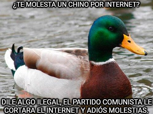 Pato_consejero - La mejor manera de deshacerse de ese problema
