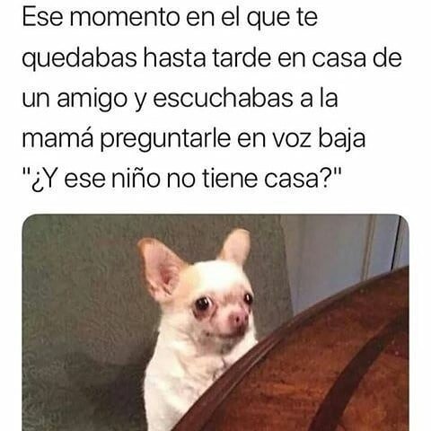 Meme_otros - Lo siento señora, ya me marcho