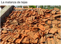 Enlace a La matanza de tejas, literalmente
