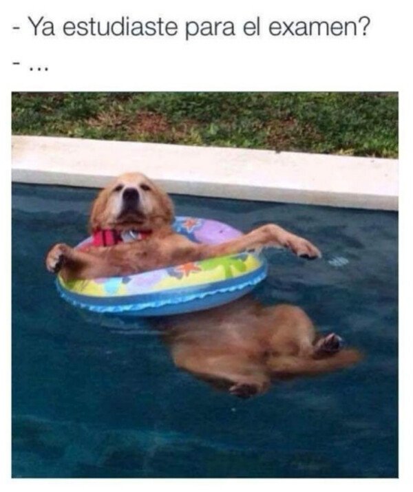 Otros - ¿Hacer qué para el qué?