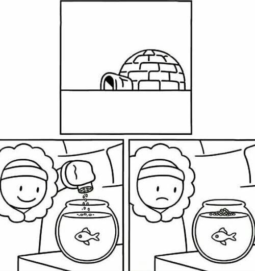 Meme_otros - Cuidar de un pez en el polo norte no es fácil