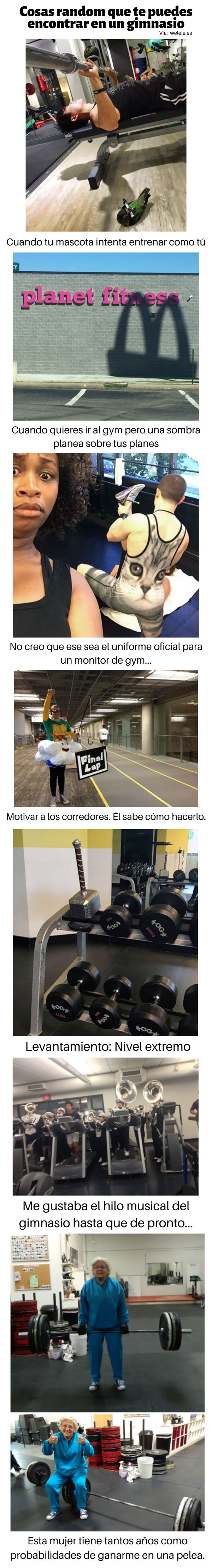 Meme_otros - Cosas random que te puedes encontrar en un gimnasio