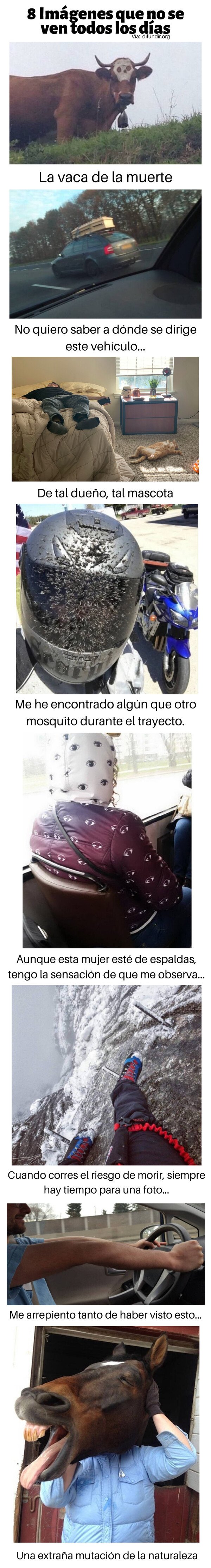 Meme_otros - 8 Imágenes que no se ven todos los días