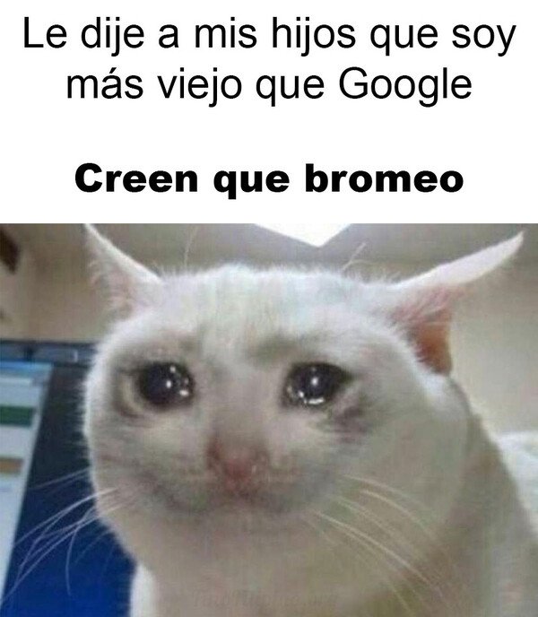 Meme_otros - Hijo mío, te estoy hablando en serio