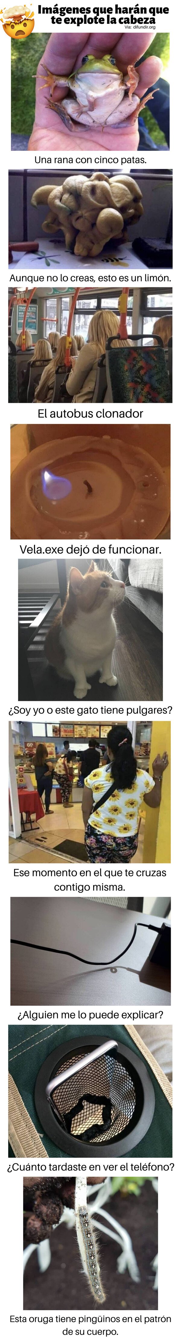 Meme_otros - Imágenes que harán que te explote la cabeza