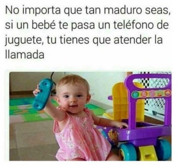 Otros - Debería ser por ley