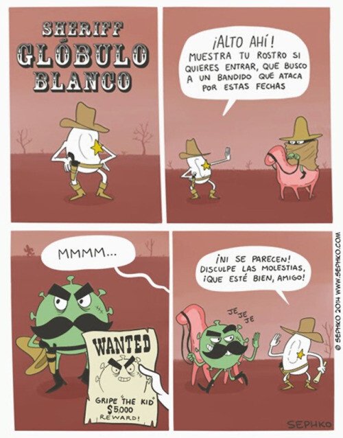 Meme_otros - Y por eso siempre me acabo resfriando todos los años...