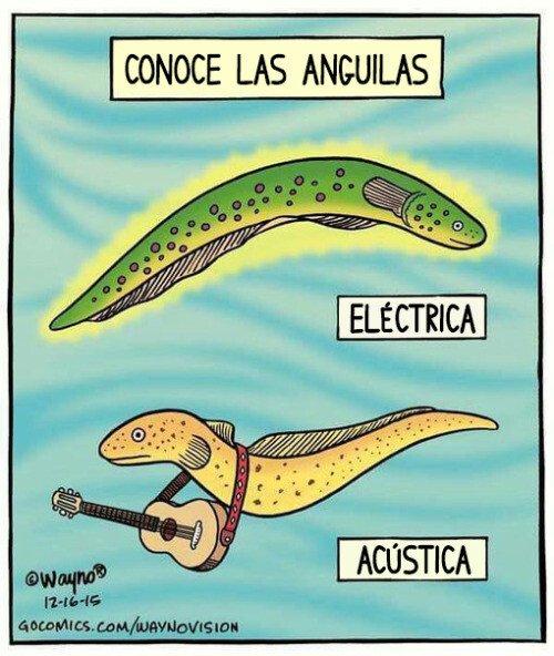 acústica,anguilas,eléctrica,guitarras