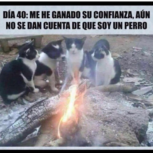 Meme_otros - El infiltrado