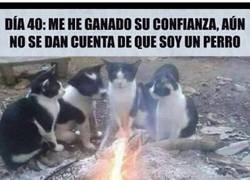 Enlace a El infiltrado