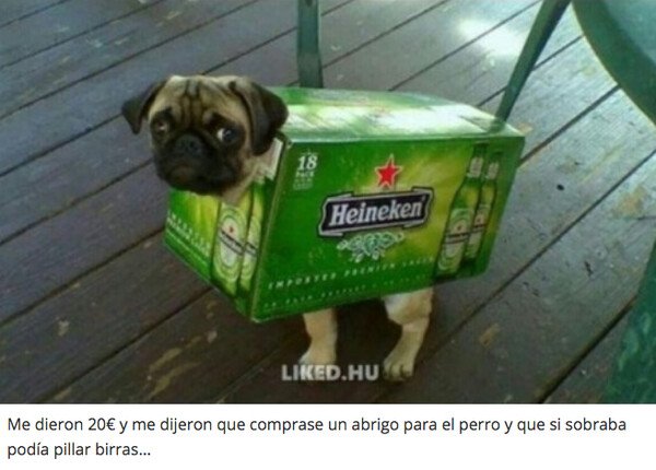 Meme_otros - ¡Ese abrigo le queda genial!