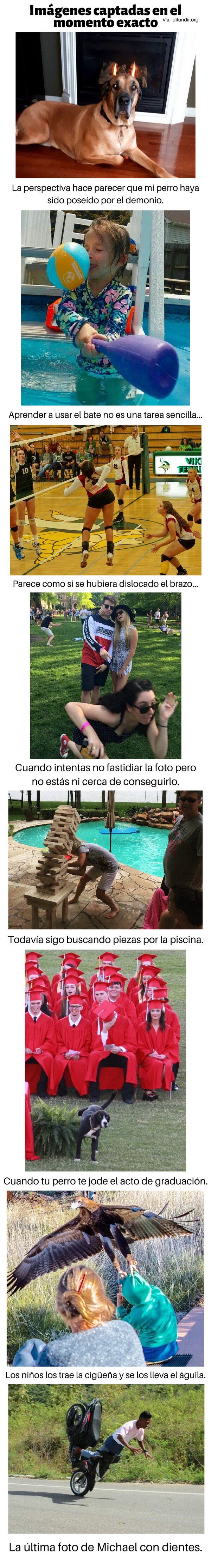 Meme_otros - Imágenes captadas en el momento exacto