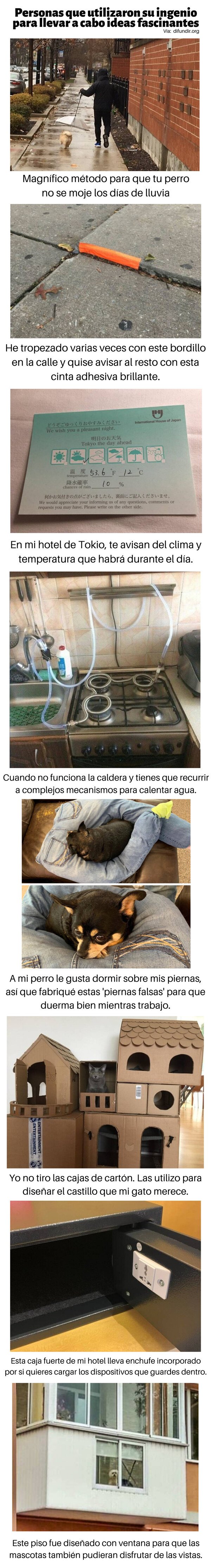 Meme_otros - Personas que utilizaron su ingenio para llevar a cabo ideas fascinantes