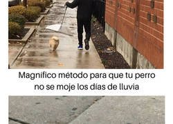 Enlace a Personas que utilizaron su ingenio para llevar a cabo ideas fascinantes