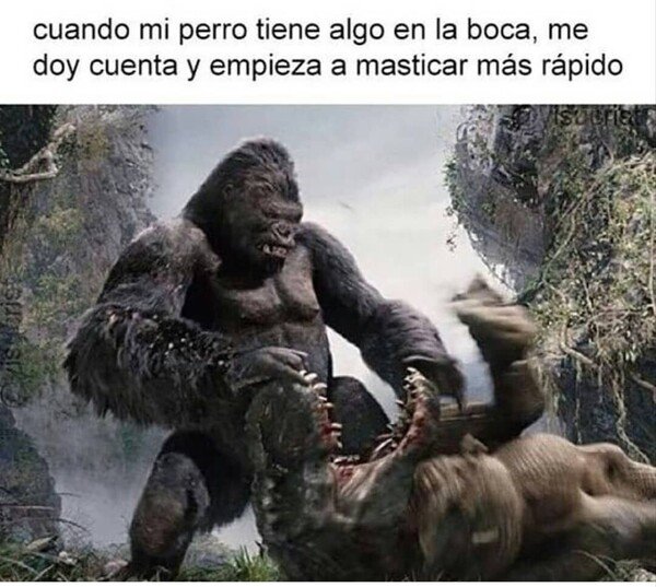 Otros - ¿Qué estás comiendo, maldito perro?